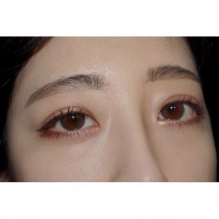 LENSME Megalook Fallin Choco(月拋)